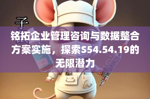 铭拓企业管理咨询与数据整合方案实施，探索S54.54.19的无限潜力