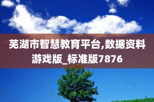 芜湖市智慧教育平台,数据资料游戏版_标准版7876