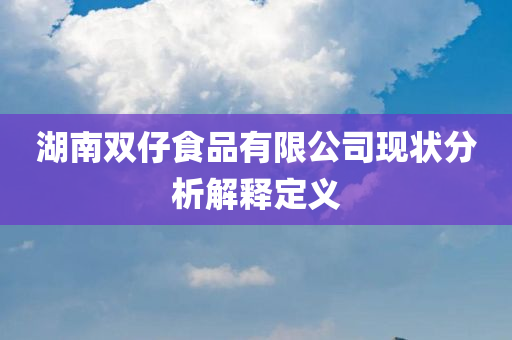 湖南双仔食品有限公司现状分析解释定义