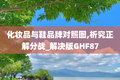 化妆品与鞋品牌对照图,析究正解分战_解决版GHF87