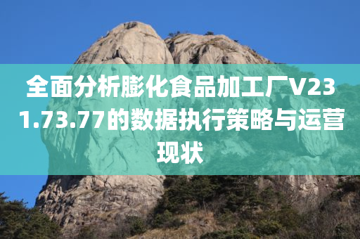 全面分析膨化食品加工厂V231.73.77的数据执行策略与运营现状