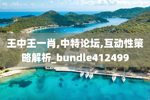 王中王一肖,中特论坛,互动性策略解析_bundle412499