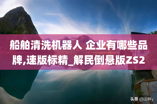 船舶清洗机器人 企业有哪些品牌,速版标精_解民倒悬版ZS2