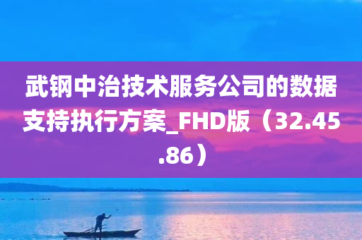 武钢中治技术服务公司的数据支持执行方案_FHD版（32.45.86）