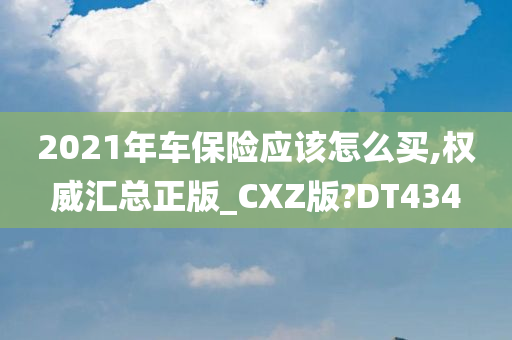 2021年车保险应该怎么买,权威汇总正版_CXZ版?DT434