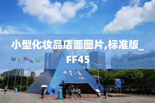 小型化妆品店面图片,标准版_FF45