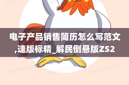 电子产品销售简历怎么写范文,速版标精_解民倒悬版ZS2