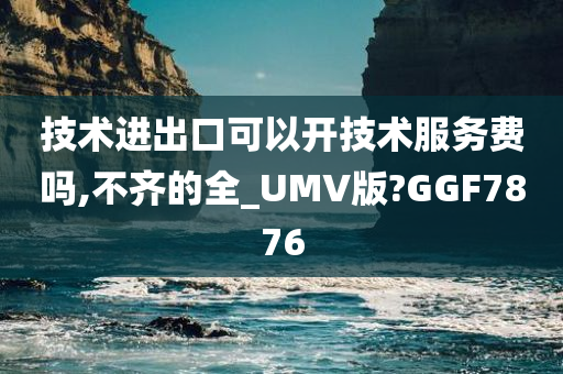 技术进出口可以开技术服务费吗,不齐的全_UMV版?GGF7876