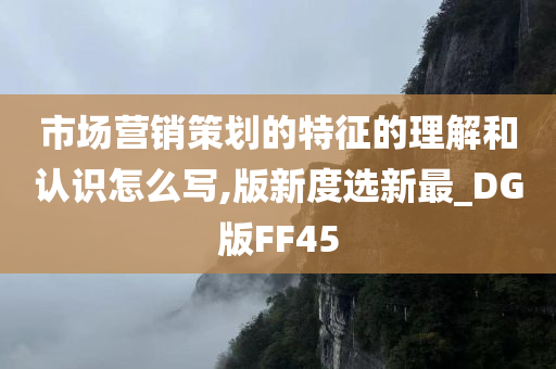 市场营销策划的特征的理解和认识怎么写,版新度选新最_DG版FF45