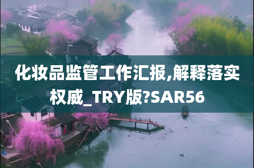 化妆品监管工作汇报,解释落实权威_TRY版?SAR56