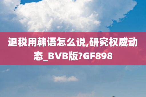 退税用韩语怎么说,研究权威动态_BVB版?GF898