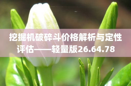 挖掘机破碎斗价格解析与定性评估——轻量版26.64.78