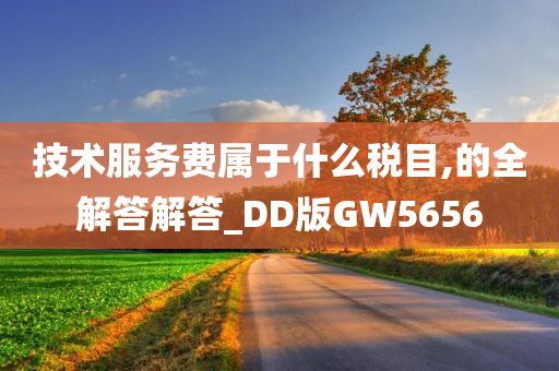 技术服务费属于什么税目,的全解答解答_DD版GW5656