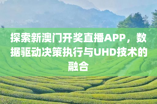 探索新澳门开奖直播APP，数据驱动决策执行与UHD技术的融合