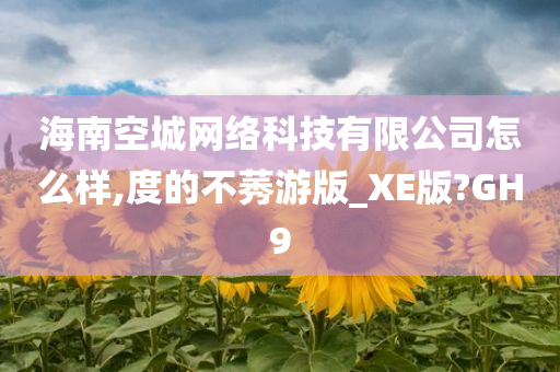 海南空城网络科技有限公司怎么样,度的不莠游版_XE版?GH9