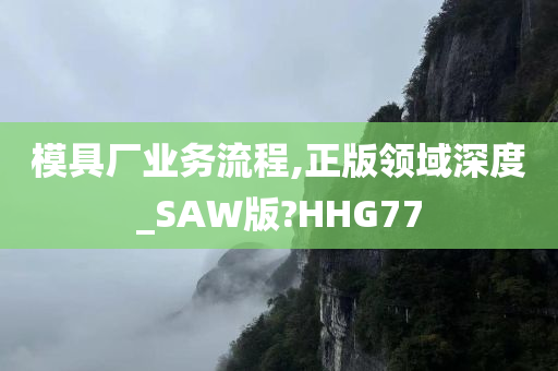 模具厂业务流程,正版领域深度_SAW版?HHG77