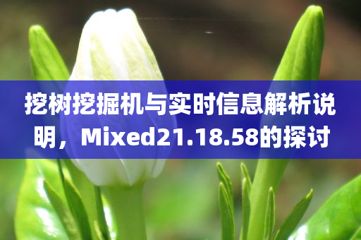 挖树挖掘机与实时信息解析说明，Mixed21.18.58的探讨