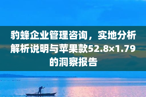 豹蜂企业管理咨询，实地分析解析说明与苹果款52.8×1.79的洞察报告