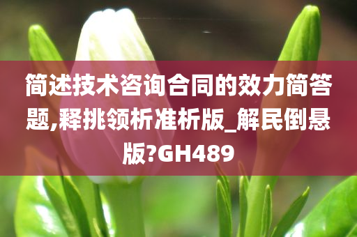 简述技术咨询合同的效力简答题,释挑领析准析版_解民倒悬版?GH489