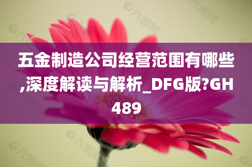 五金制造公司经营范围有哪些,深度解读与解析_DFG版?GH489