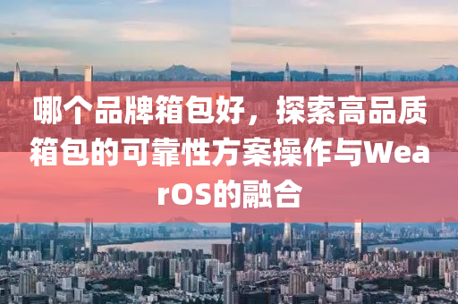 哪个品牌箱包好，探索高品质箱包的可靠性方案操作与WearOS的融合