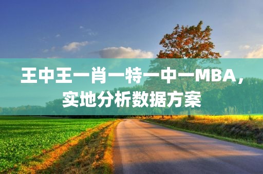 王中王一肖一特一中一MBA，实地分析数据方案