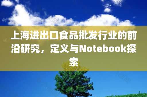 上海进出口食品批发行业的前沿研究，定义与Notebook探索