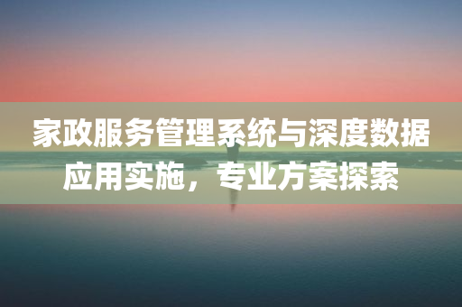 家政服务管理系统与深度数据应用实施，专业方案探索