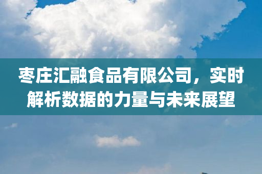 枣庄汇融食品有限公司，实时解析数据的力量与未来展望