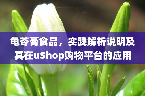 龟苓膏食品，实践解析说明及其在uShop购物平台的应用