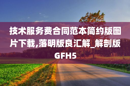 技术服务费合同范本简约版图片下载,落明版良汇解_解剖版GFH5