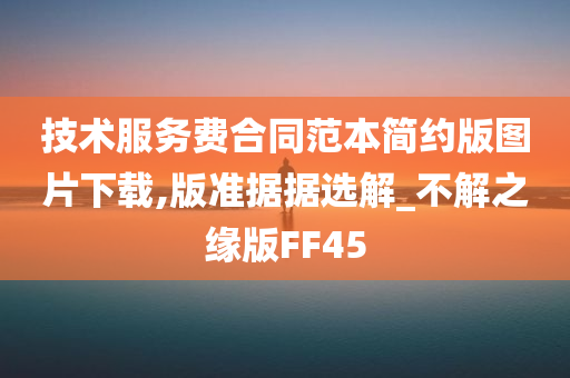 技术服务费合同范本简约版图片下载,版准据据选解_不解之缘版FF45