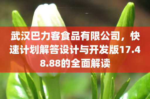 武汉巴力客食品有限公司，快速计划解答设计与开发版17.48.88的全面解读