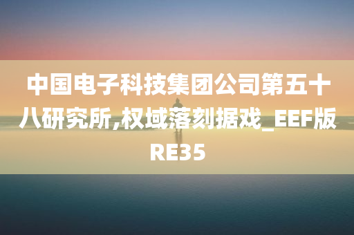 中国电子科技集团公司第五十八研究所,权域落刻据戏_EEF版RE35