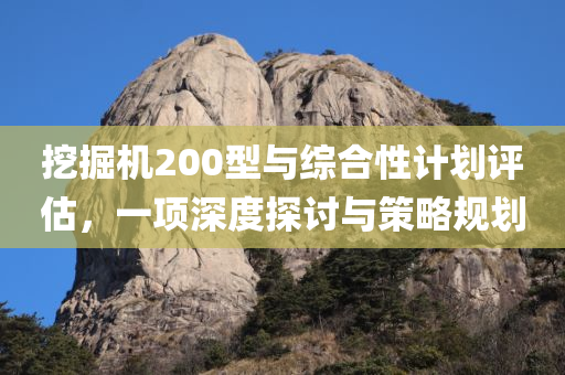 挖掘机200型与综合性计划评估，一项深度探讨与策略规划