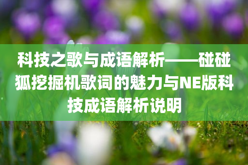 科技之歌与成语解析——碰碰狐挖掘机歌词的魅力与NE版科技成语解析说明