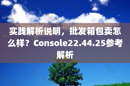 实践解析说明，批发箱包卖怎么样？Console22.44.25参考解析