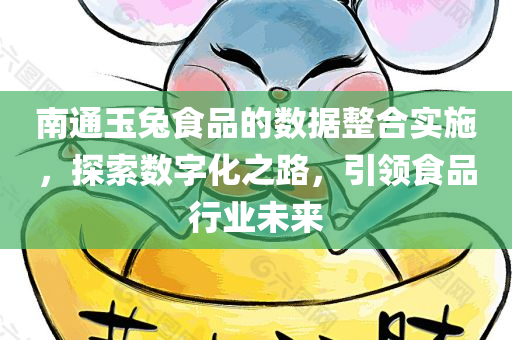 南通玉兔食品的数据整合实施，探索数字化之路，引领食品行业未来