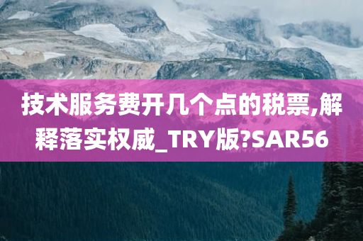 技术服务费开几个点的税票,解释落实权威_TRY版?SAR56