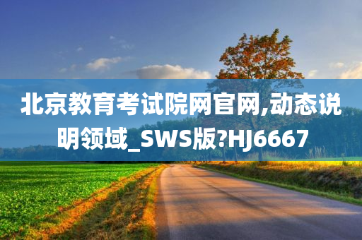 北京教育考试院网官网,动态说明领域_SWS版?HJ6667