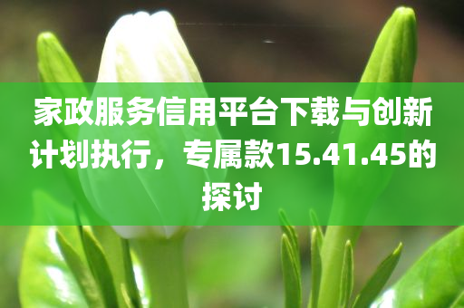 家政服务信用平台下载与创新计划执行，专属款15.41.45的探讨