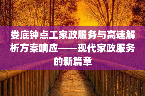 娄底钟点工家政服务与高速解析方案响应——现代家政服务的新篇章