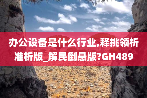 办公设备是什么行业,释挑领析准析版_解民倒悬版?GH489